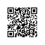 1210Y0250100KCR QRCode