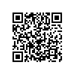 1210Y0250272KFR QRCode