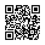 125041011103 QRCode