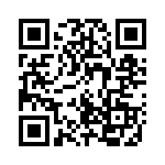 12TS95-4 QRCode