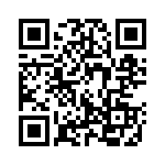 130207 QRCode