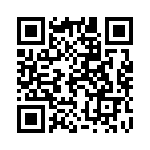 1309P503 QRCode