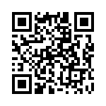 132101 QRCode