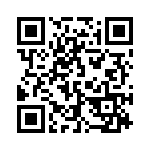 132114 QRCode