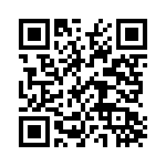 132121 QRCode