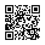 132169SS QRCode