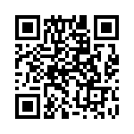 132172RP-RP QRCode