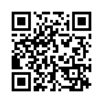 132174 QRCode