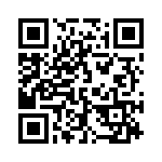 132193 QRCode