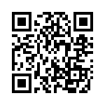 132280RP QRCode