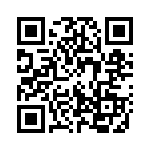 132313-1 QRCode