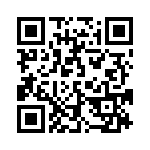 13234NSK-BDM QRCode