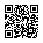 1331-333K QRCode