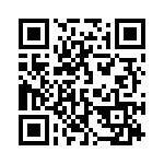 134100 QRCode