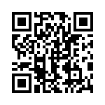 13AT273-T2 QRCode