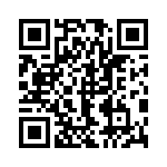 13AT401-T2 QRCode