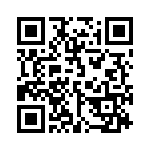 13E QRCode