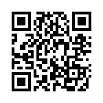 13R223C QRCode