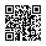 13R335C QRCode