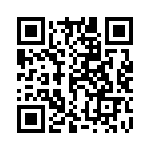 14310913101000 QRCode