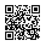 152887 QRCode