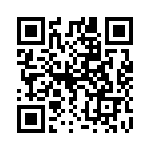 160-334FS QRCode