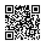 160171 QRCode