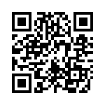 161151Q00 QRCode