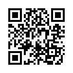 1613517 QRCode