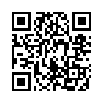 1613556 QRCode