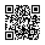 1619613 QRCode