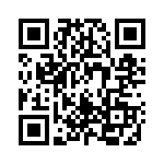 1619891 QRCode