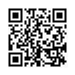 161A10139X QRCode