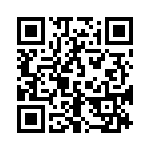 163A13029X QRCode