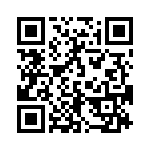 165X13369XE QRCode