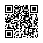 165X13379X QRCode