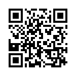 167L55 QRCode