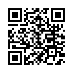 169041011300 QRCode