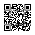 169131011303 QRCode