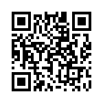 17021254209 QRCode