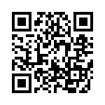 170333K400DB QRCode