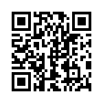 1705253817 QRCode