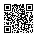 17102002202 QRCode