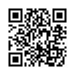 1710939 QRCode