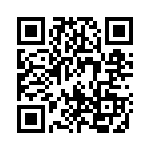 1713105 QRCode