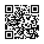 17131272004 QRCode