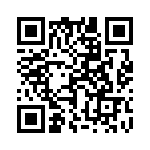 17131272203 QRCode