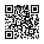 17131272602 QRCode