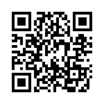 1713305 QRCode