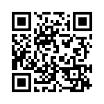 171332-1 QRCode